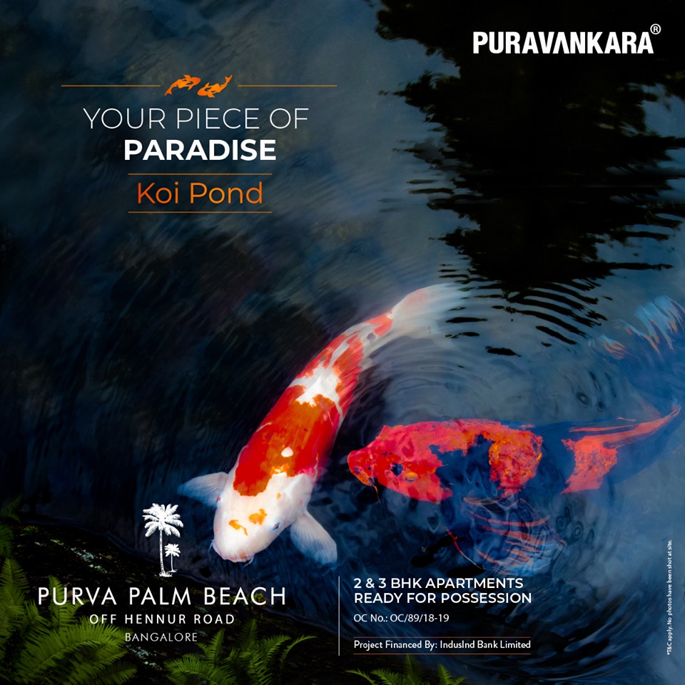 Visit Koi Pond at Purva Palm Beach, Bangalore